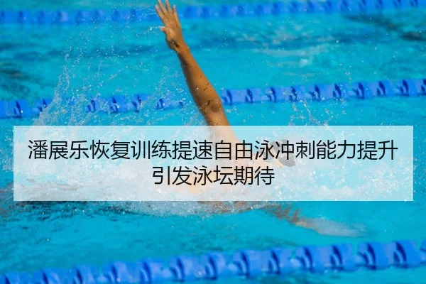 潘展乐恢复训练提速自由泳冲刺能力提升引发泳坛期待